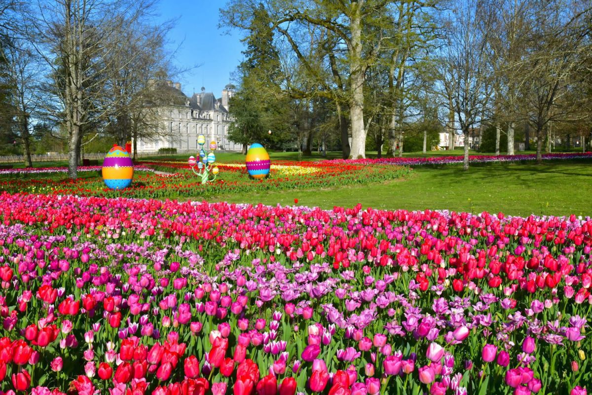 Découvrez un demi-million de tulipes au cœur du château de Cheverny