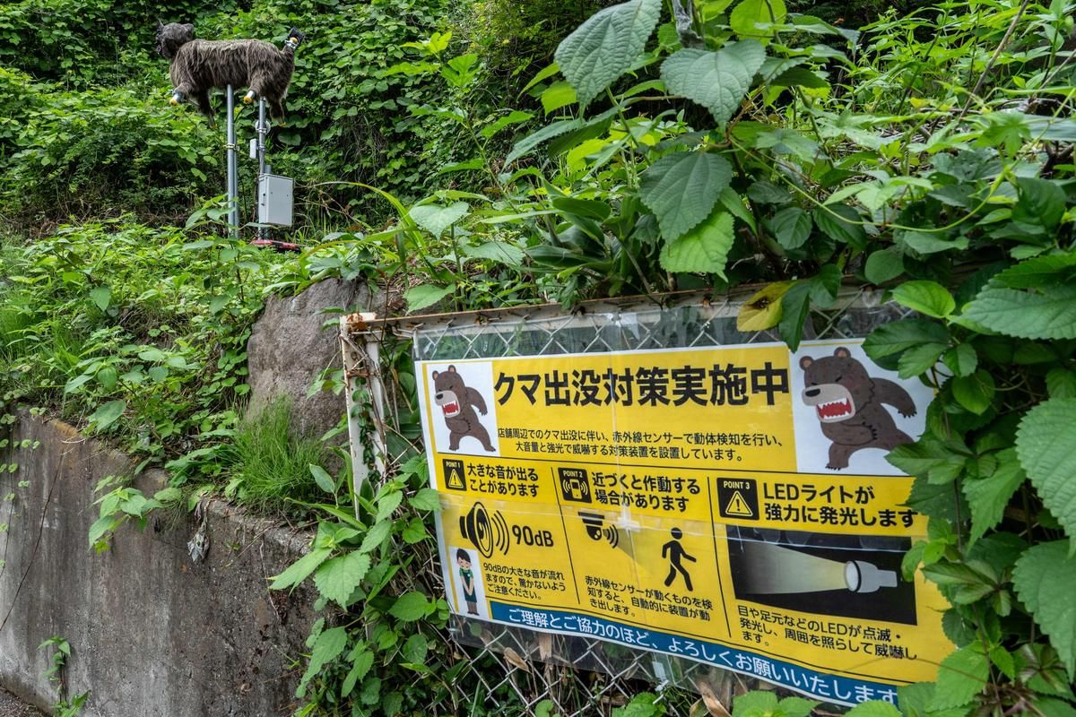 Le Japon mise sur la technologie pour faire face aux attaques d’ours