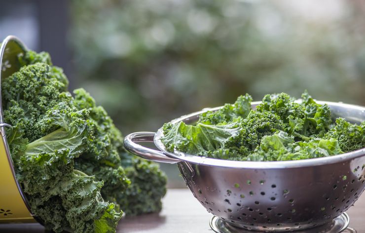 Plongez dans l'univers du kale, super-aliment détox