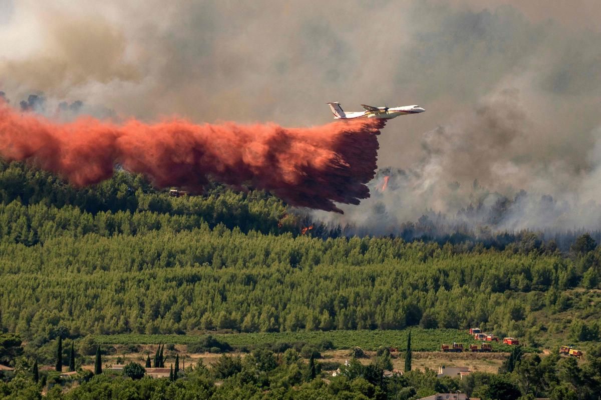 Un violent incendie ravage les Pyrénées-Orientales : 930 hectares en flammes