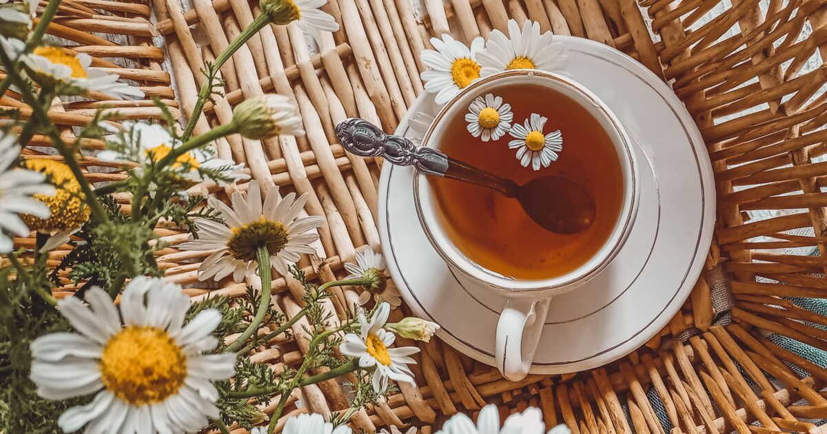 Thé ou tisane : choisissons la boisson chaude pour un bien-être optimal