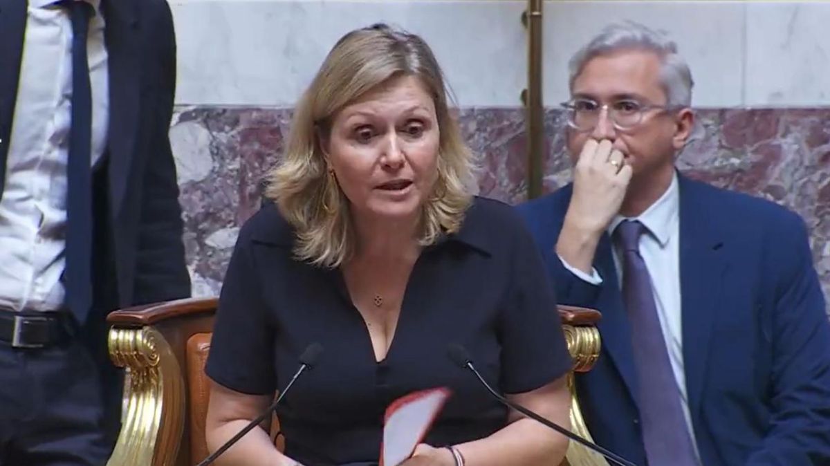 L’Assemblée nationale face à la motion de censure des écologistes : un vote révélateur