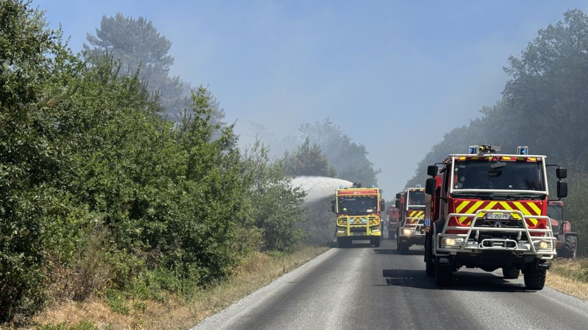 Un incendie ravage un hectare de forêt à Neung-sur-Beuvron