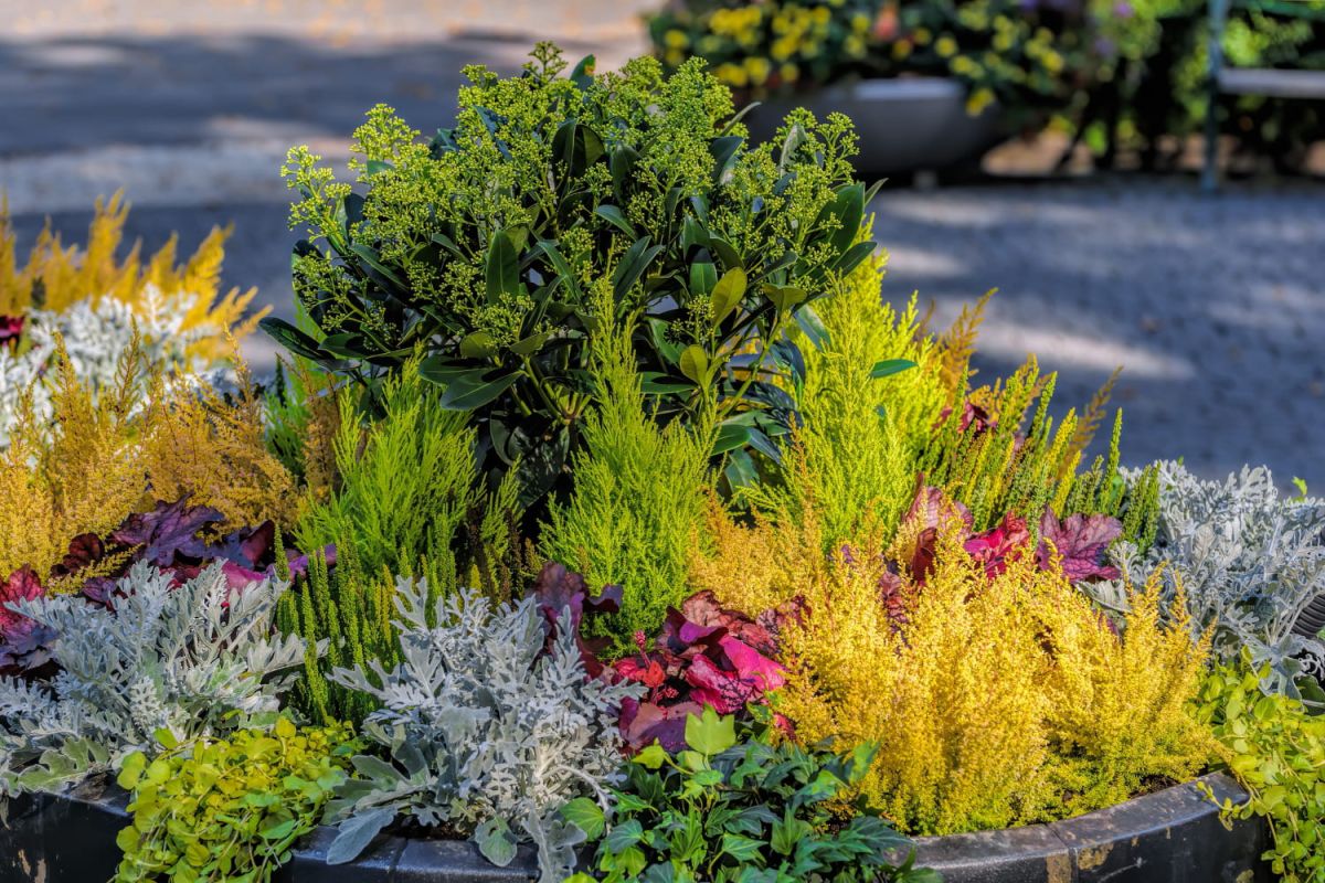 Transformez votre jardin avec cette technique facile et pratique