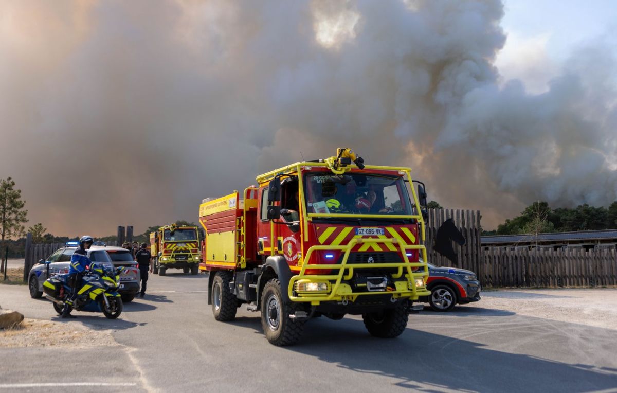 Incendie dévastateur dans la forêt de Fontainebleau : plus de 1.900 hectares brûlés