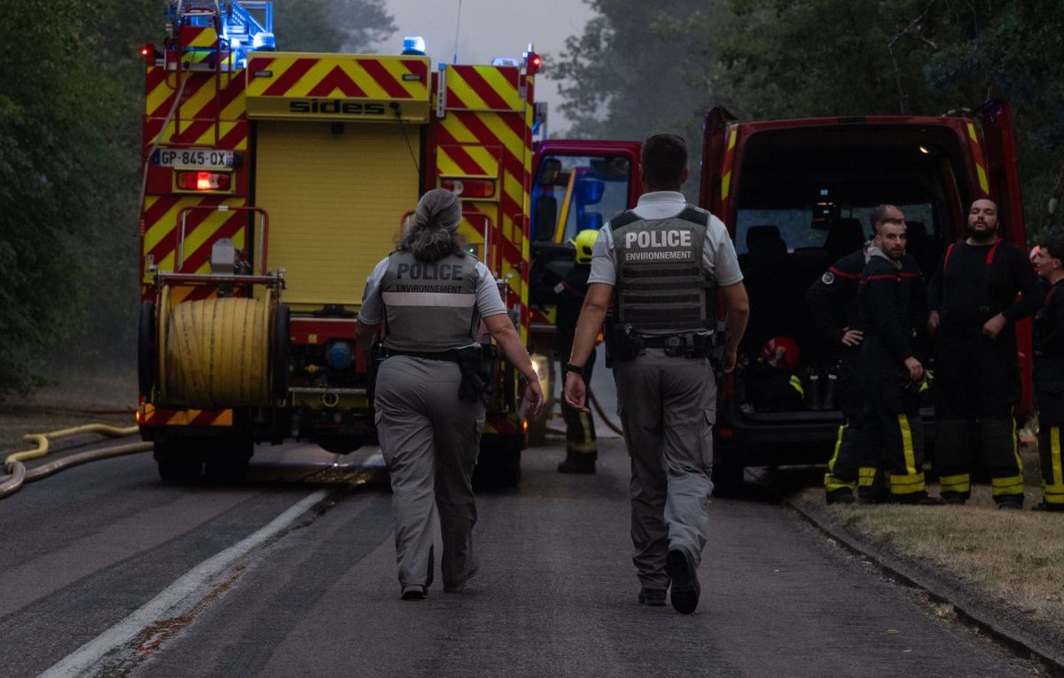 Qui sont les six suspects interpellés pour des départs de feux de forêt à Fontainebleau ?