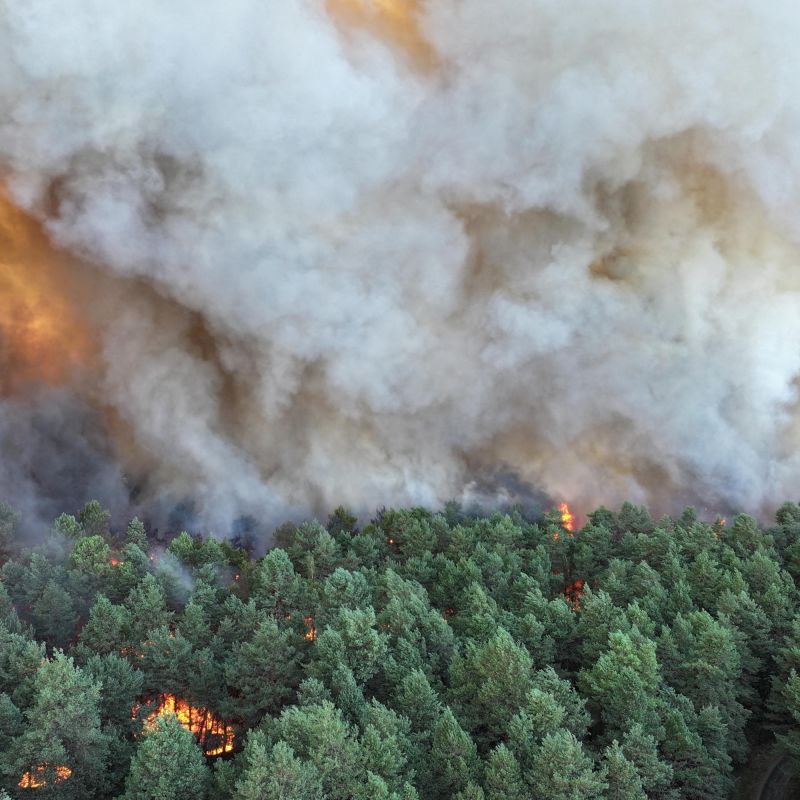 Fontainebleau : un incendie toujours actif malgré la canicule qui recule