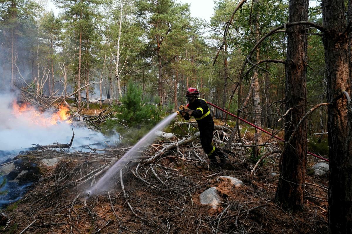 La forêt de Fontainebleau en proie aux flammes : un nouvel interpellé