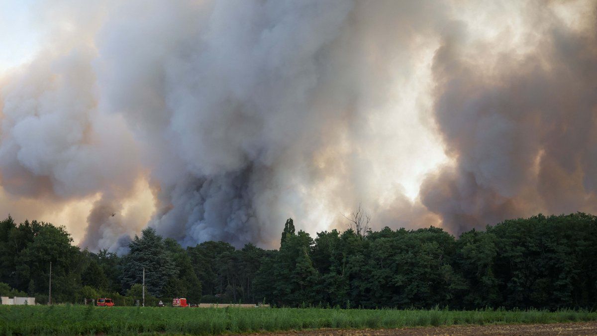 Incendies à Fontainebleau : quelles peines pour les jeunes responsables de cette catastrophe ?