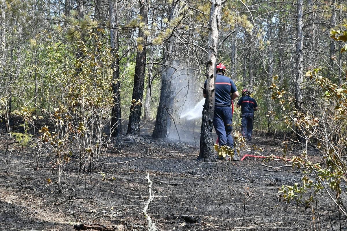 Incendie en Dordogne : une enquête de voisinage pour élucider l'origine humaine du sinistre