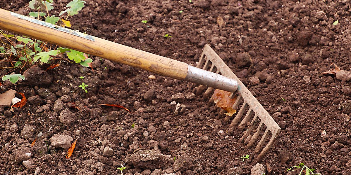 À la découverte du râteau : un outil indispensable du jardinier